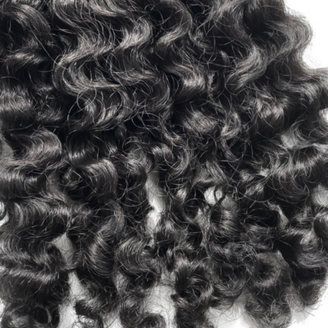 Raw Burmese Curly